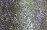 Beelsby fibreglass roof work